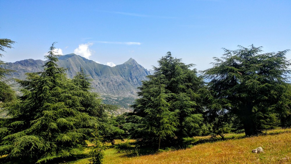 La Cedraie de Takoucht