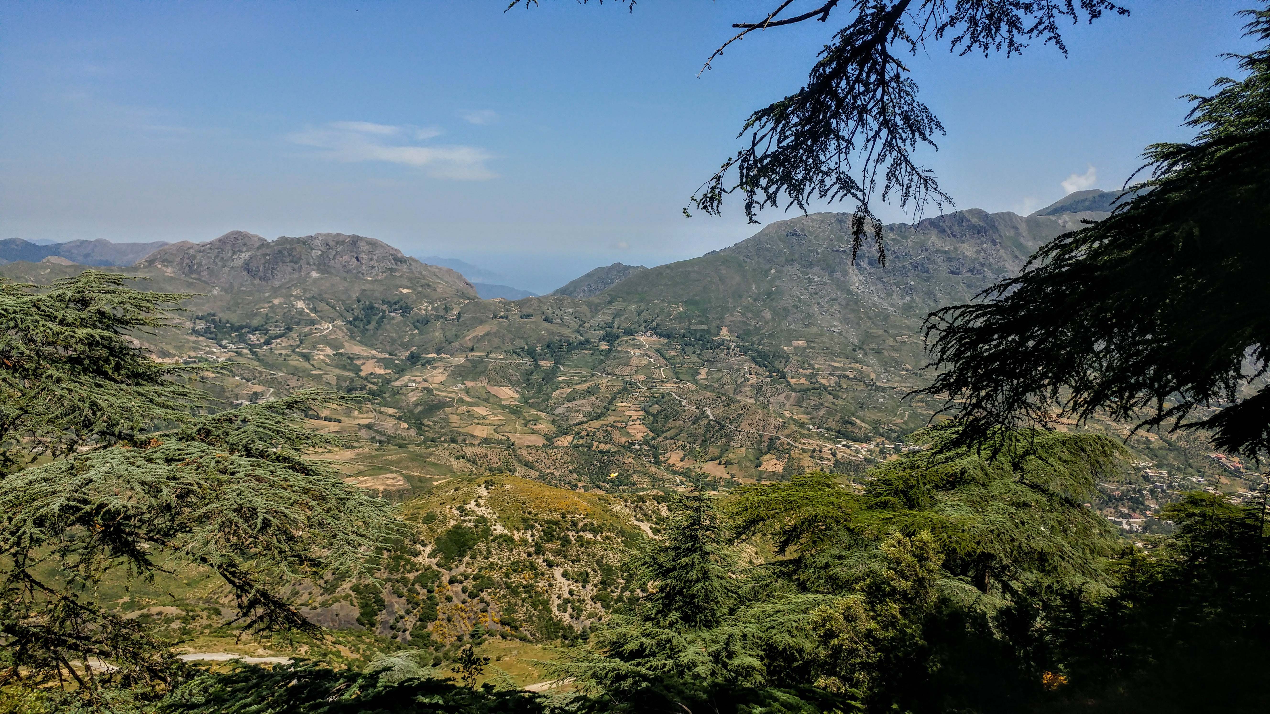 La Cedraie de Takoucht - Forêts et Natures à Béjaïa — photo 2