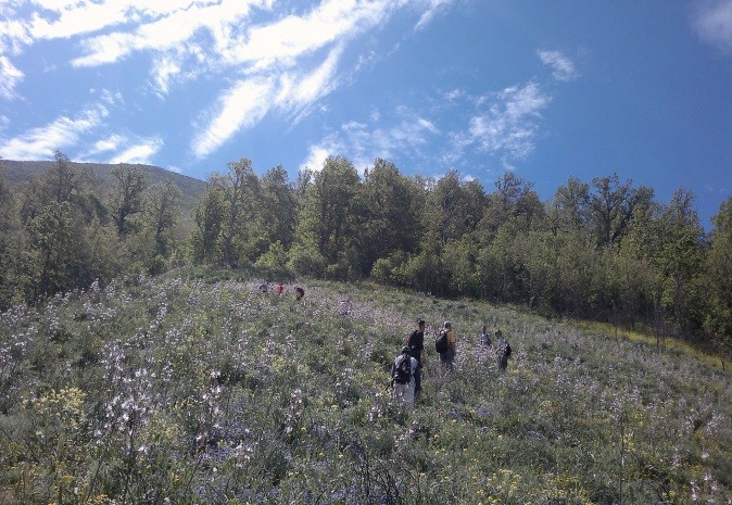 MONTAGNE DE ZEEN - Forêts et Natures à Béjaïa — photo 2