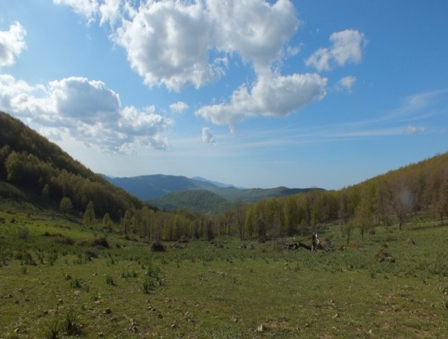 MONTAGNE DE ZEEN - Forêts et Natures à Béjaïa — photo 3