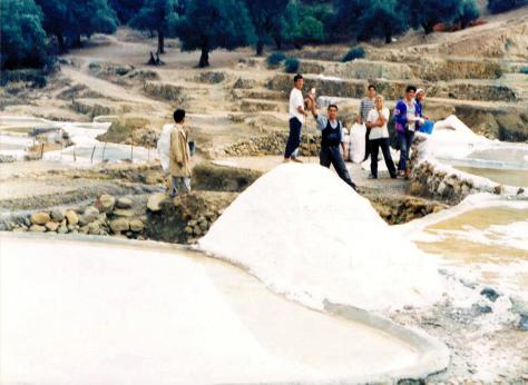 RESEAU DE SALINES - THIMELAHINES