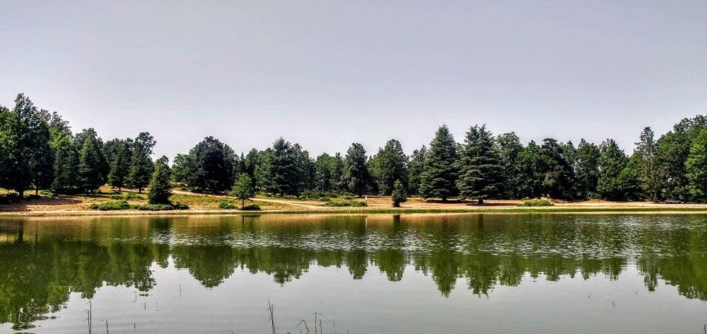 LAC NOIR (AGOULMIM AVERKAN) - Forêts et Natures à Béjaïa — photo 3
