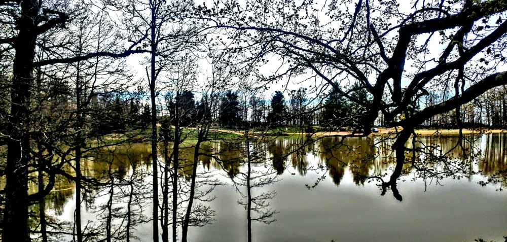 LAC NOIR (AGOULMIM AVERKAN) - Forêts et Natures à Béjaïa — photo 4