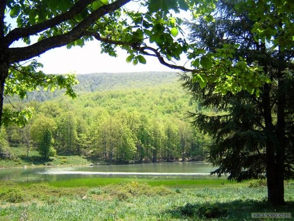 LAC NOIR (AGOULMIM AVERKAN) - Forêts et Natures à Béjaïa — photo 2