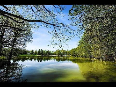 LAC NOIR (AGOULMIM AVERKAN) - Forêts et Natures à Béjaïa — photo 5