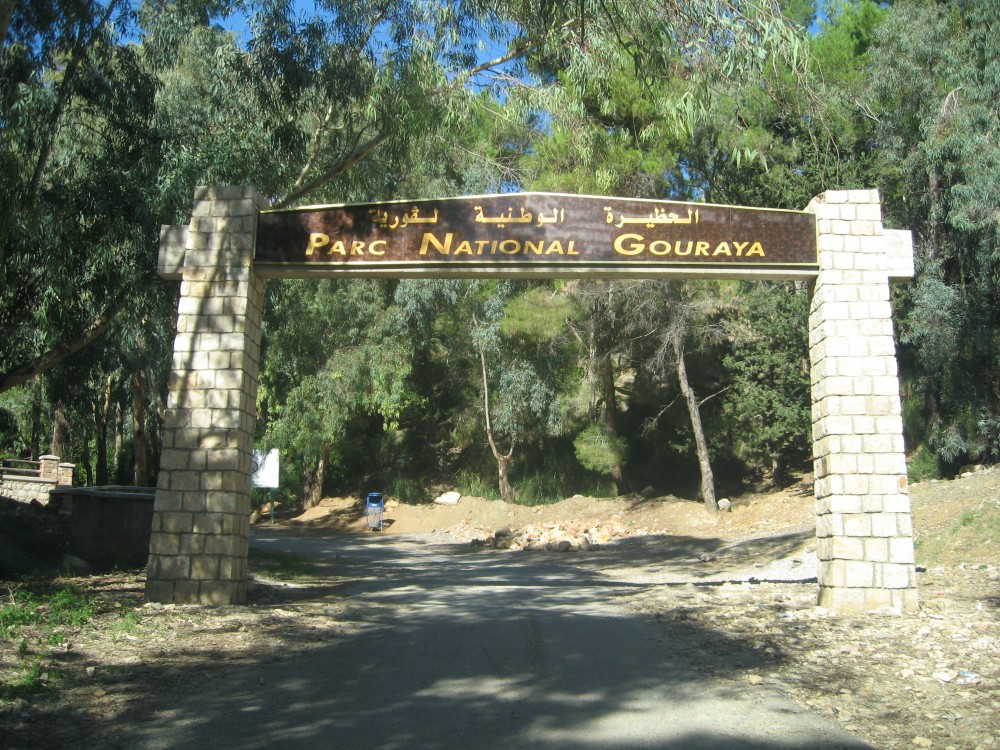 Secteur occidental du Parc national du Gouraya - Forêts et Natures à Béjaïa — photo 7