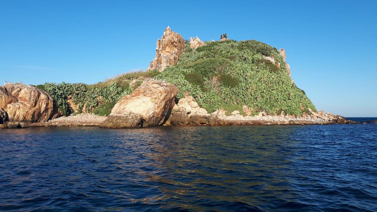 L’ILE DES PISANS