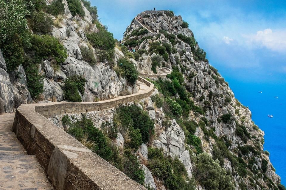 LE PIC DES SINGES - Forêts et Natures à Béjaïa — photo 2