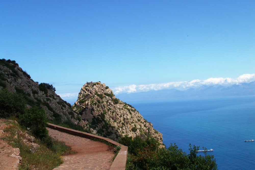 LE PIC DES SINGES - Forêts et Natures à Béjaïa — photo 5