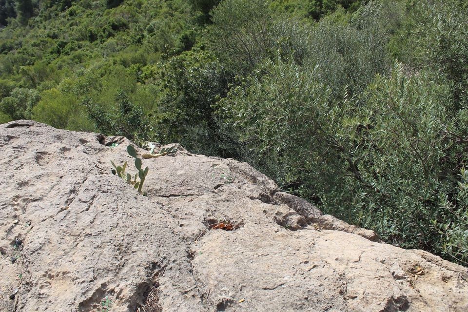La tombe Phénicienne - Sites Historiques et Monuments à Béjaïa — photo 3