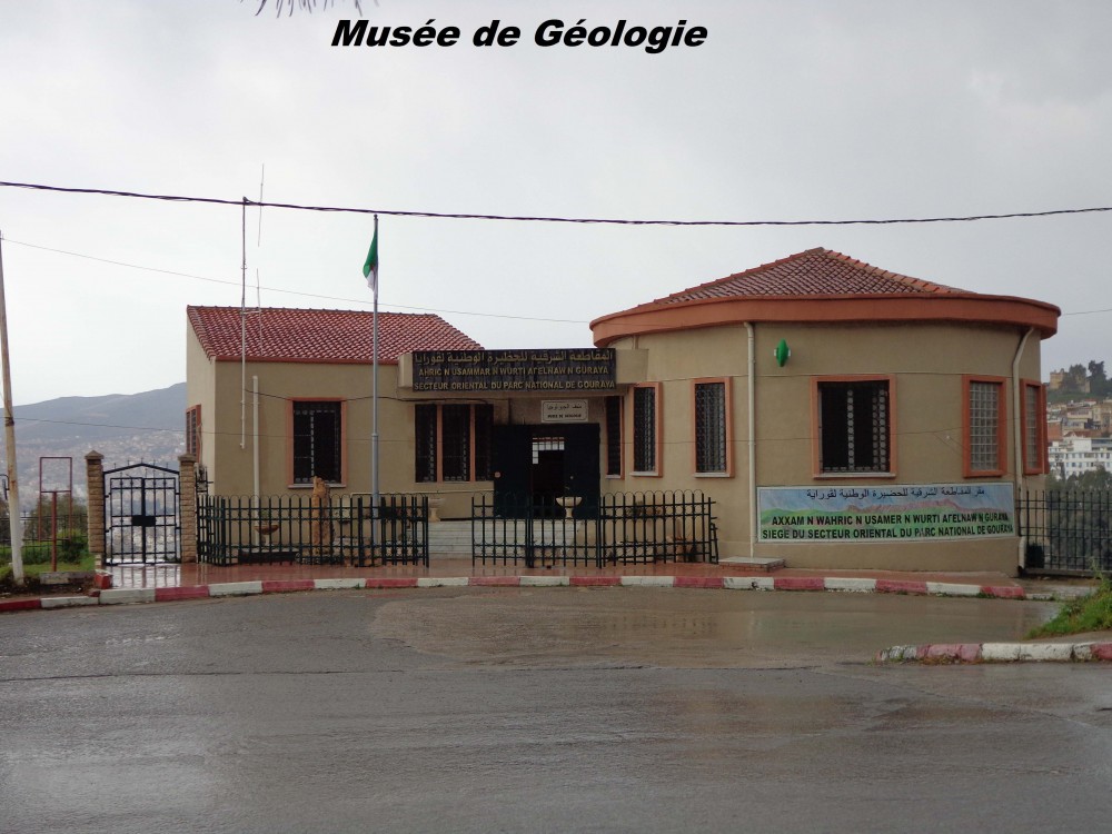 Le musée de géologie du Parc National du Gouraya - Musées et Galeries d'Art à Béjaïa — photo 7