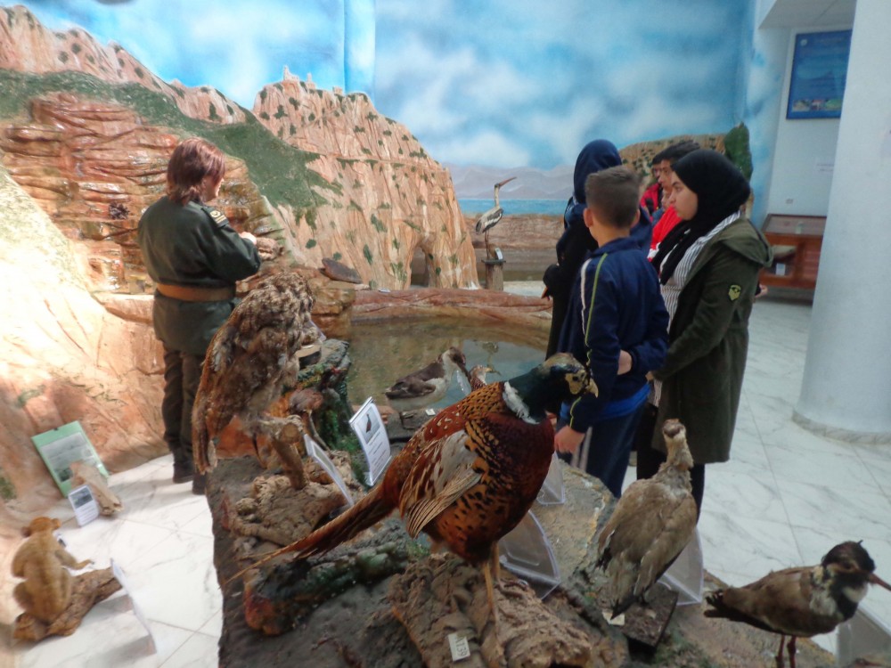 Musée des microsystèmes et du Cycle de l’eau - Musées et Galeries d'Art à Béjaïa — photo 5