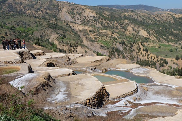 Les Salines « Thimelahines » - Forêts et Natures à Béjaïa — photo 4
