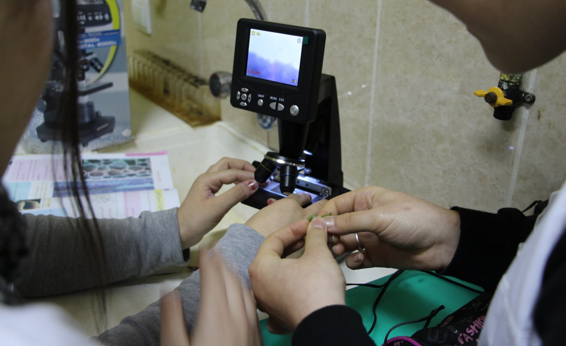 Etablissement d’éducation et d’enseignement privé " LES IRIS " de Béjaïa - Vie Pratique à Béjaïa — photo 2