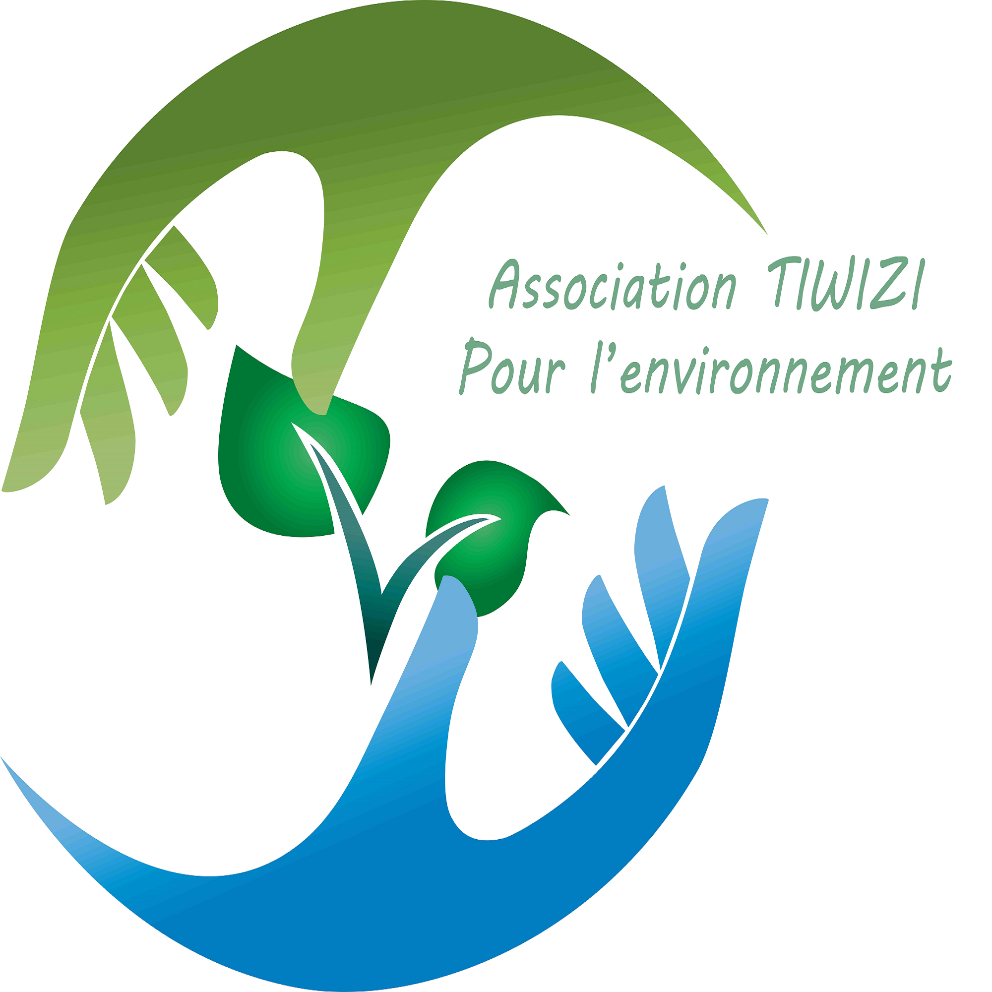 Association Tiwizi pour la protection de l’environnement