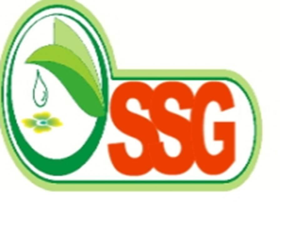 sarl SAvonnerie Gueldamene