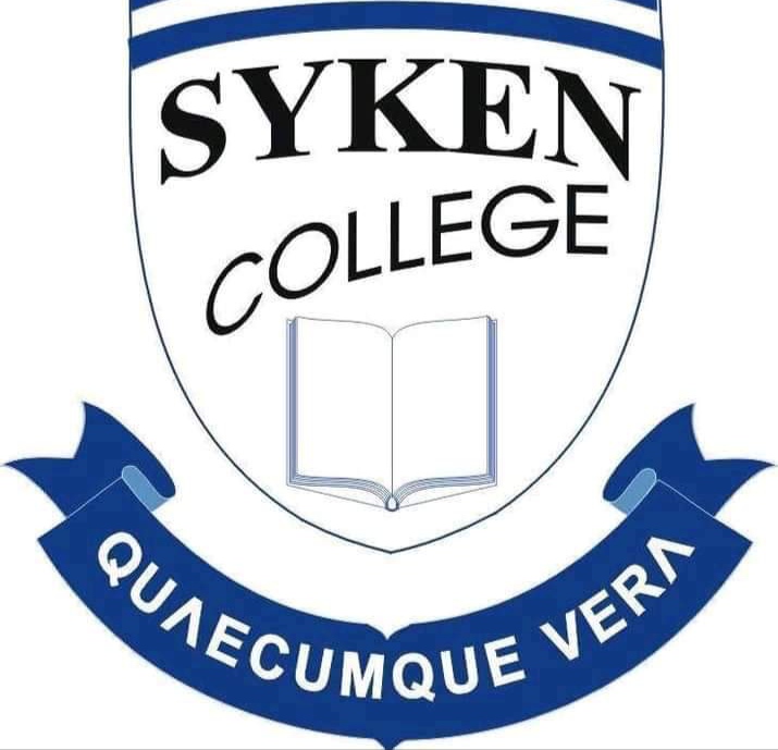 Logo Syken collègue