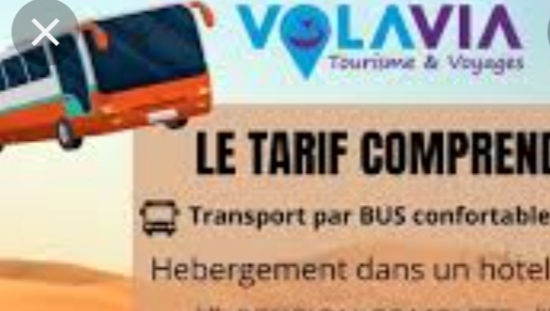 Logo Volavia Tourisme et Voyages