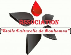 Logo Association Etoile culturelle de Bouhamza