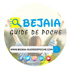 Logo Direction de la Santé et de la Population - BEJAIA